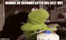 The best gifs are on giphy. Kermit The Frog GIFs | Tenor