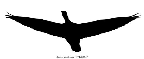 5155 Flying Goose Silhouette Images Stock Photos And Vectors Shutterstock