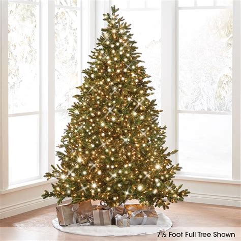 The Worlds Best Prelit Noble Fir Full Led Led Christmas Tree
