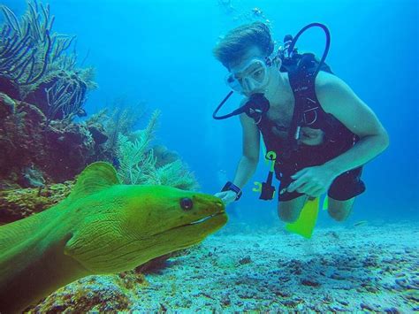 Local Scuba Diving 2 Tank Dive Belize Pro Dive Center