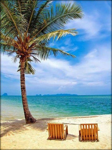 Beach Scene Palm Tree Beach Chairs Beach Scenes