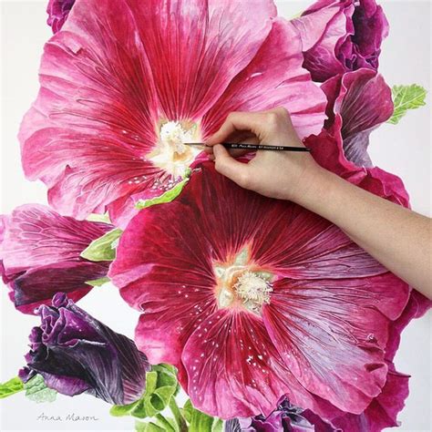 Anna Mason Botanical Painting Watercolor Flowers Floral Painting