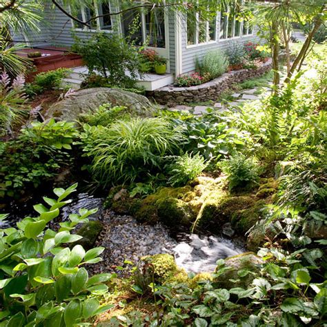 How To Plant Around A Pond Better Homes And Gardens