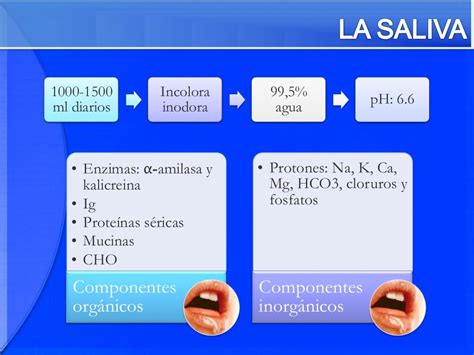 Patologia Glandulas Salivales Jonathan Molina