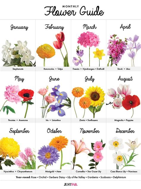 Flowers Of The Month Chart