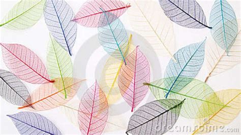 Download Leaves Background In Pretty Pastel Colors Royalty Free Stock