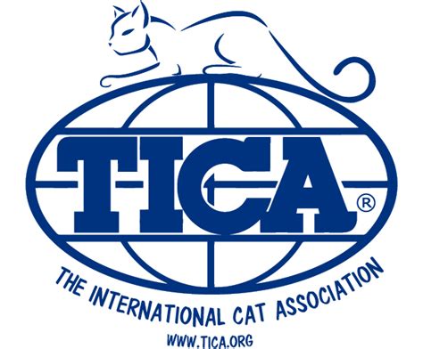 Tica Cat Logo Blue Globe Name Cat With Website