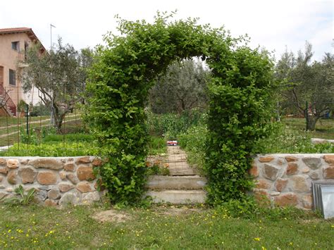 10 Amazingly Gorgeous Garden Entrance Designs To Enrich The Outer Look