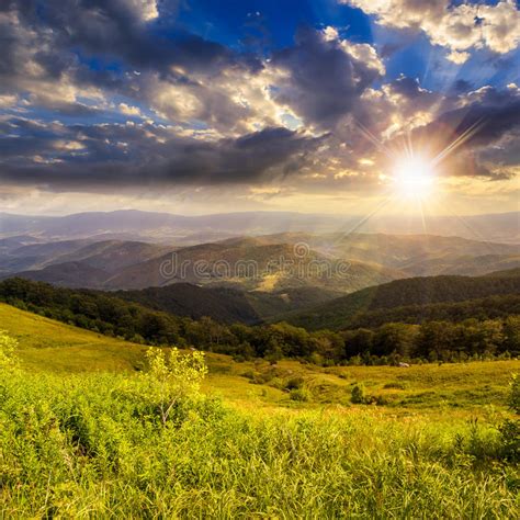 Pine Trees Near Valley In Mountains On Hillside On Sunset Stock Photo