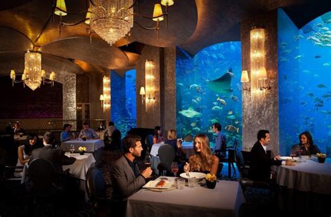 5 Best Restaurants And Steakhouse Dubai