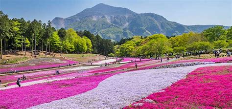 Lugares Turísticos De Japón ¡20 Destinos Para Sorprenderte