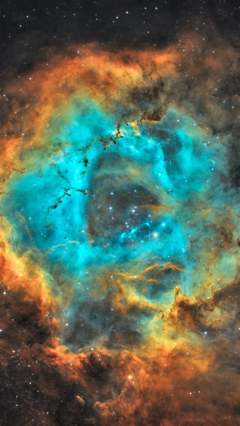 Rosette Nebula Backiee