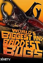 Steve anderson, briana shipley, andrew fugate. Watch Worlds Biggest and Baddest Bugs (2009) Full Movie ...
