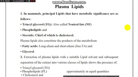 Lipids Metabolism Part 1 YouTube