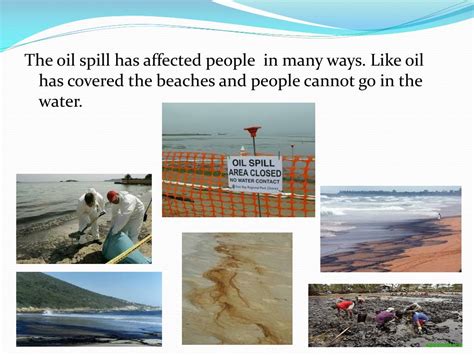 Ppt The Gulf Oil Spill Powerpoint Presentation Free Download Id