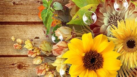 Fall Floral Wallpapers Top Free Fall Floral Backgrounds Wallpaperaccess