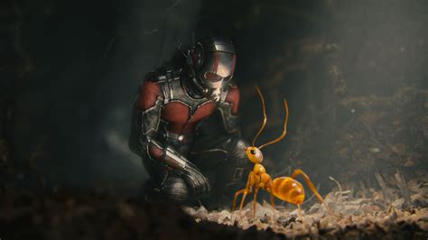 Ant Man And His Friend Ant Myconfinedspace Myconfinedspace