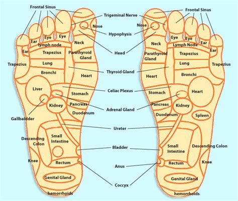 Refelxology Trivia｜foot Reflexology In Hawaii Oasis Spa Foot Pressure Points Massage