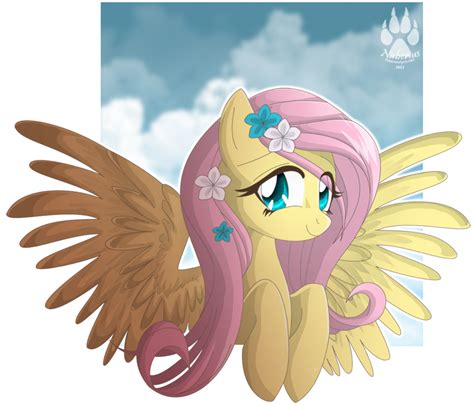 Fluttershy My Little Pony Friendship Is Magic Fan Art 28222621 Fanpop