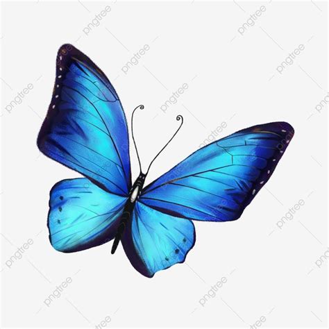 Colorida Mariposa Acuarela Azul Png Im Genes Predise Adas De Mariposa Mariposa Azul Png Y