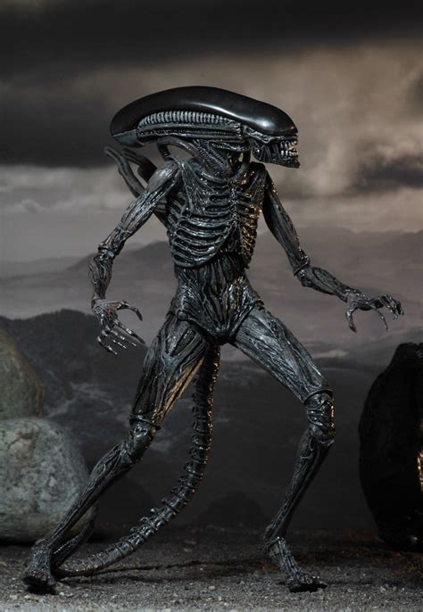The neomorph was an endoparasitoid extraterrestrial species encountered by the crew of the uscss covenant. Alien: Covenant - NECA Unveils Toy Line - Dread Central