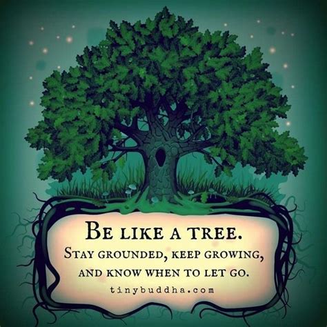 Tiny Buddha On Instagram “be Like A Tree Stay Grounded Keep Growing