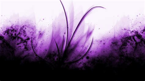 1000 Images About Color Combo Black And Purple On