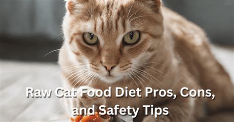 Raw Cat Food Diet Pros Cons And Safety Tips Pet Love Portal