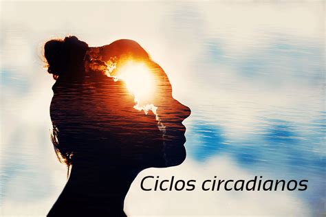 Ciclos Circadianos Y Luz Cronobiológica Técnica De Dr Lefebure Methods