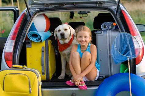 Viaggiare Con Il Cane Come Organizzarsi E Cosa Serve