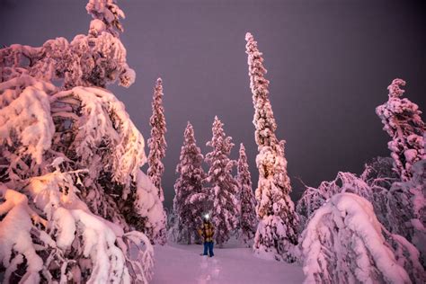 13 Reasons To Visit Finnish Lapland