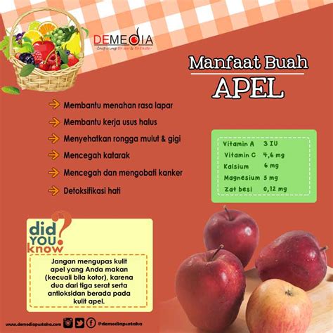Gambar buah semangka yang masih tergeletak di kebun. Gambar Buah Apel Dan Manfaatnya - Koleksi Gambar HD