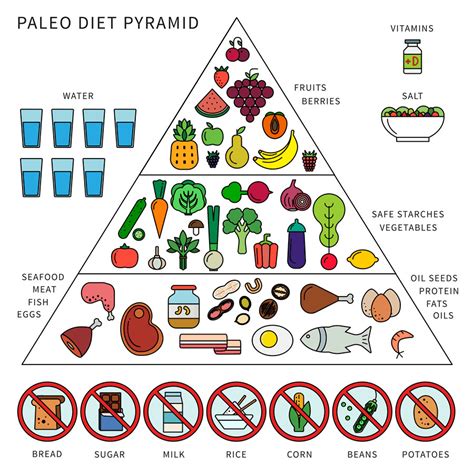 The Best Paleo Diet Food Pyramid - Best Recipes Ideas and Collections