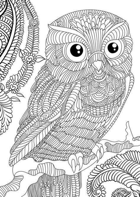 Https://tommynaija.com/coloring Page/animal Coloring Pages Owl