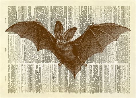 Flying Bat Animal With Wings Halloween Dictionary Art Print