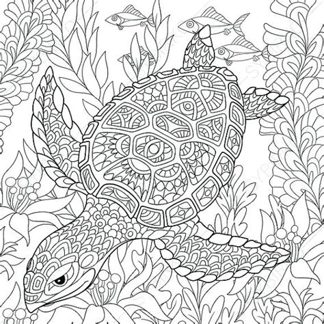 Adult Coloring Pages Turtle At Getcolorings Com Free Printable