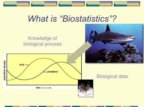 Ppt Biostatistics For Dummies Powerpoint Presentation Free Download