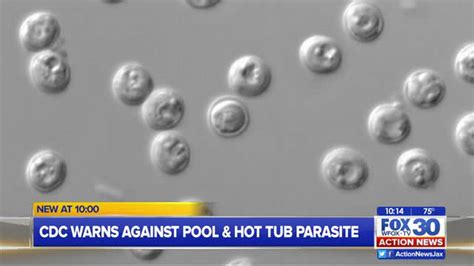 Cdc Warns Of New Parasite That Lives Up To 10 Days In Pool Action News Jax