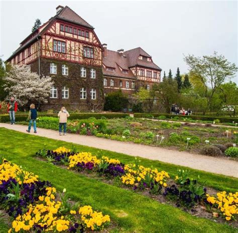 Genauere infos zum umbau finden sie auf der homepage des botanischen gartens. Botanischer Garten öffnet noch nicht am kommenden Montag ...