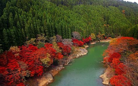 Fall River Forest Japan Red Green Leaves Trees Colorful Nature
