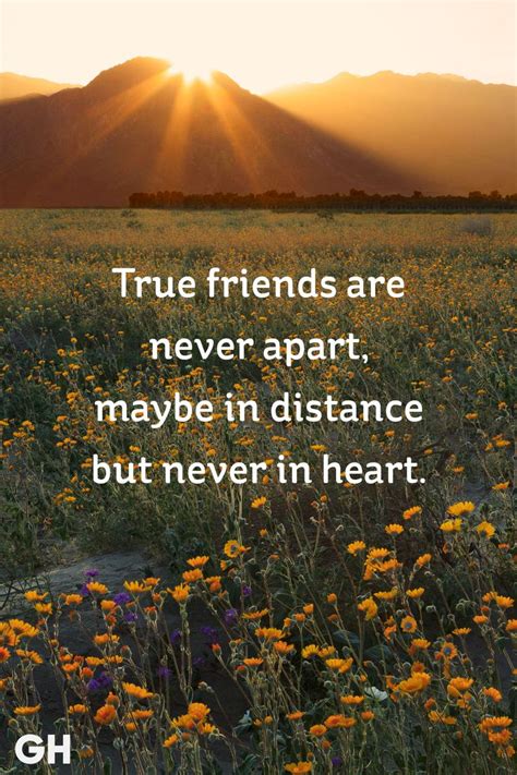 We've compiled a list of top 80 inspiring quotes (with pictures) on this topic. 25 Short Friendship Quotes to Share With Your Best Friend ...