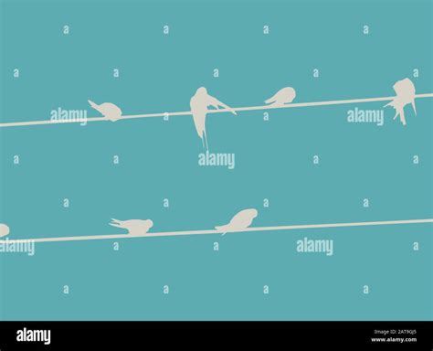 Swallows On Wires Vector Illustration Stock Vector Image And Art Alamy