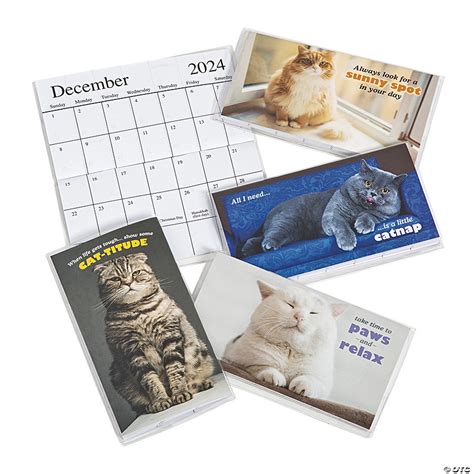2023 2024 Fat Cats Pocket Calendars 12 Pc Discontinued