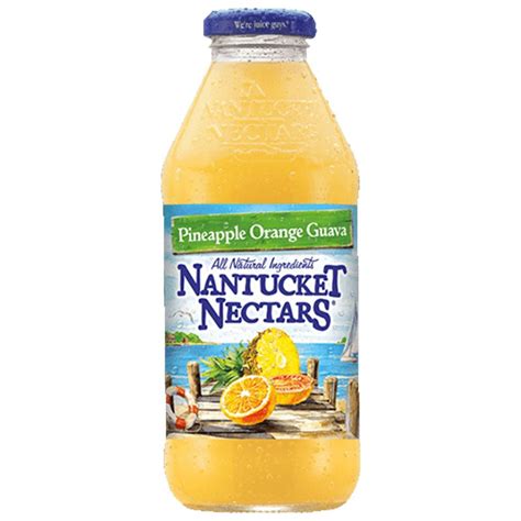 Nantucket Nectars Pineapple Orange Guava Juice Drink 16 Fl Oz 12