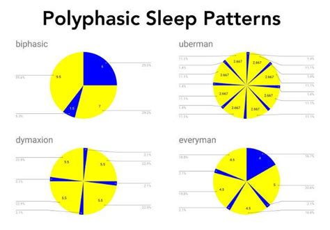 What Is Polyphasic Sleep And Is Eight Hours Of Shuteye Really
