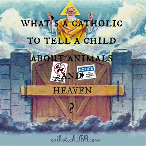 Randy alcorn in his book called heaven believes that animals will be present in the kingdom of heaven. Where Do Pets Go When They Die? - Catholic All Year