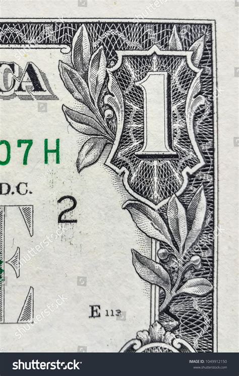 Us Dollar Floral Patterns Over 5 Royalty Free Licensable Stock Photos