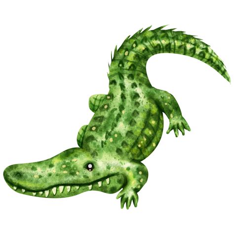 Free Watercolor Crocodile Clip Art 23298383 Png With Transparent Background