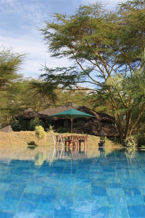 Lake Naivasha Simba Lodge Pool Pictures And Reviews Tripadvisor