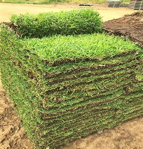 How Much Does 20 Pallets Of Sod Cover Lavonne Steadman